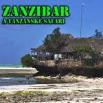 21-11-09 Beseda Zanzibar logo